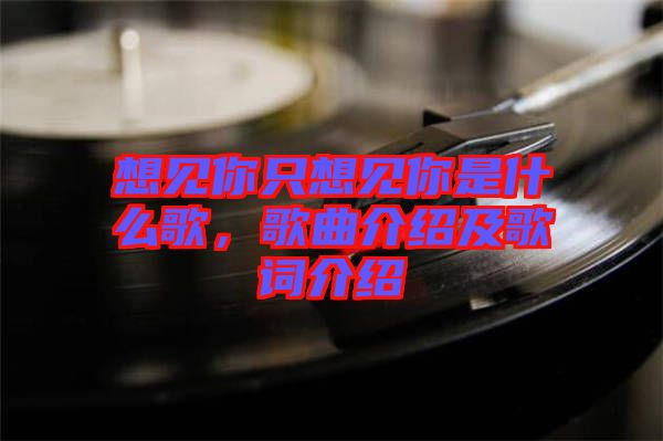 想見你只想見你是什么歌，歌曲介紹及歌詞介紹