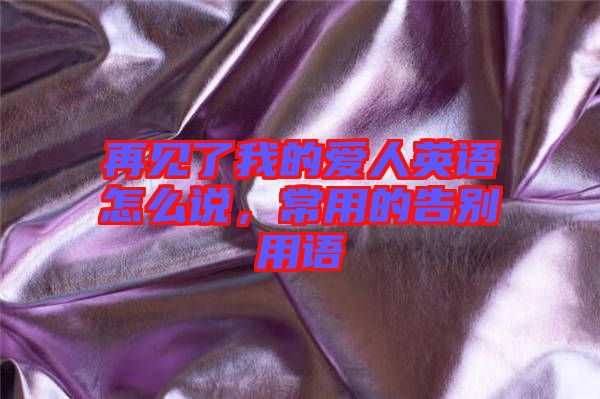 再見了我的愛人英語怎么說，常用的告別用語