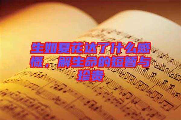 生如夏花達了什么感慨，解生命的短暫與珍貴