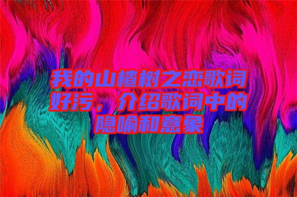 我的山楂樹之戀歌詞好污，介紹歌詞中的隱喻和意象