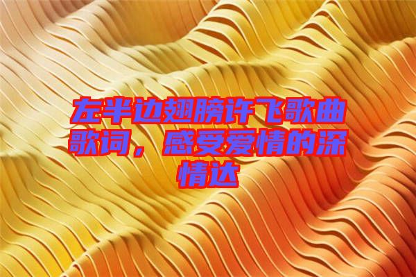 左半邊翅膀許飛歌曲歌詞，感受愛(ài)情的深情達(dá)