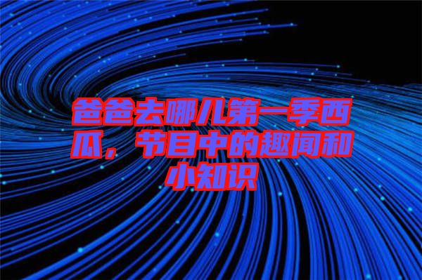 爸爸去哪兒第一季西瓜，節(jié)目中的趣聞和小知識(shí)