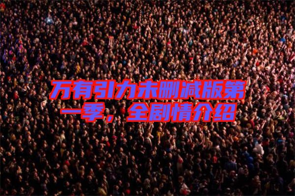 萬有引力未刪減版第一季，全劇情介紹