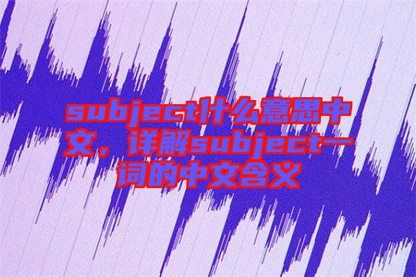 subject什么意思中文，詳解subject一詞的中文含義