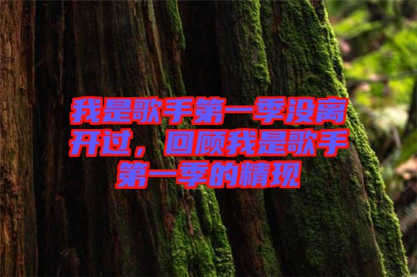 我是歌手第一季沒離開過，回顧我是歌手第一季的精現(xiàn)
