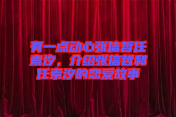 有一點(diǎn)動心張信哲任素汐，介紹張信哲和任素汐的戀愛故事