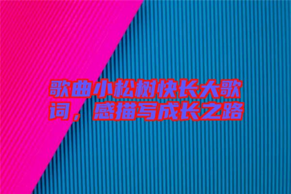 歌曲小松樹快長大歌詞，感描寫成長之路