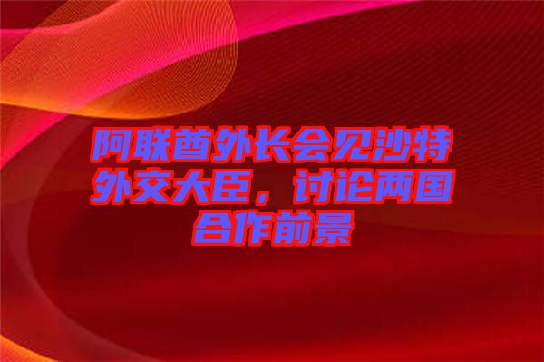 阿聯(lián)酋外長會見沙特外交大臣，討論兩國合作前景