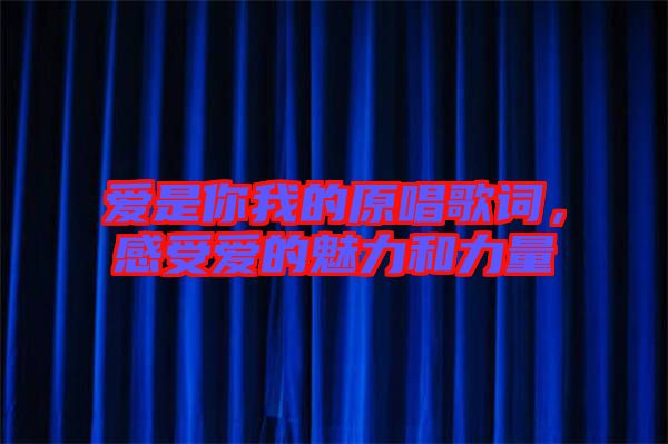 愛(ài)是你我的原唱歌詞，感受愛(ài)的魅力和力量