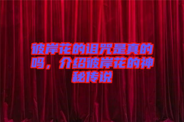 彼岸花的詛咒是真的嗎，介紹彼岸花的神秘傳說