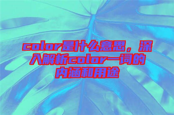 color是什么意思，深入解析color一詞的內(nèi)涵和用途