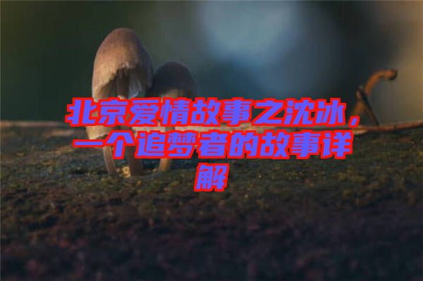 北京愛情故事之沈冰，一個(gè)追夢(mèng)者的故事詳解