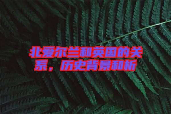 北愛爾蘭和英國(guó)的關(guān)系，歷史背景和析
