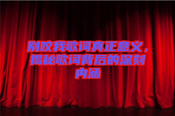 別咬我歌詞真正意義，揭秘歌詞背后的深刻內(nèi)涵