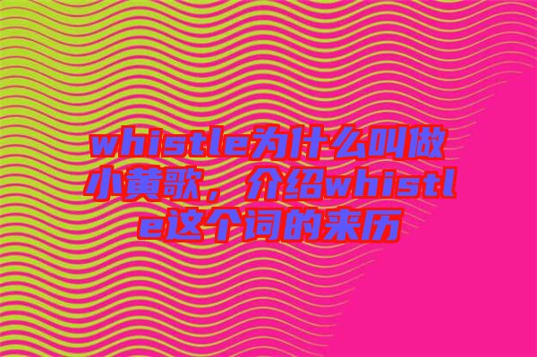whistle為什么叫做小黃歌，介紹whistle這個詞的來歷