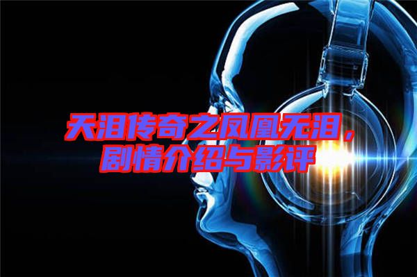 天淚傳奇之鳳凰無淚，劇情介紹與影評