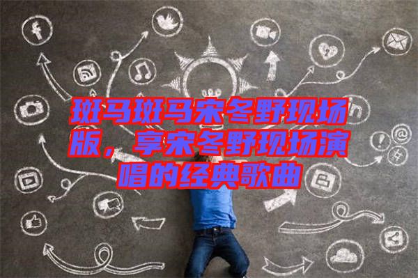 斑馬斑馬宋冬野現(xiàn)場(chǎng)版，享宋冬野現(xiàn)場(chǎng)演唱的經(jīng)典歌曲