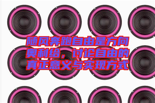 隨風(fēng)奔跑自由是方向奧利給，討論自由的真正意義與實(shí)現(xiàn)方式