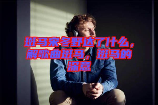 斑馬宋冬野達(dá)了什么，解歌曲斑馬，斑馬的深意
