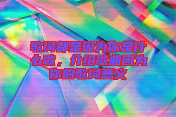 歌詞都是因?yàn)槟闶鞘裁锤?，介紹歌曲因?yàn)槟愕母柙~意義