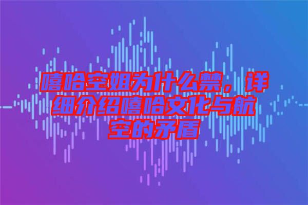 嘻哈空姐為什么禁，詳細介紹嘻哈文化與航空的矛盾