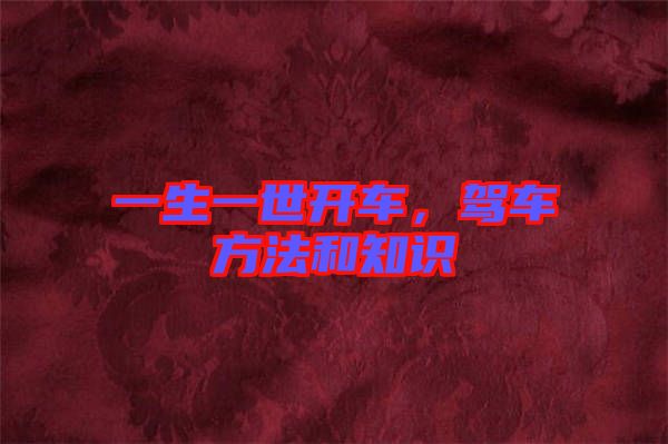 一生一世開車，駕車方法和知識