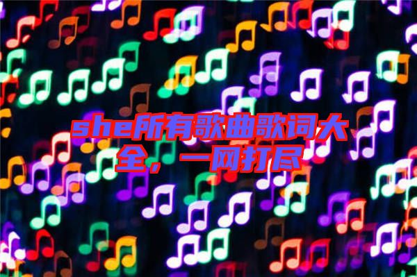 she所有歌曲歌詞大全，一網(wǎng)打盡