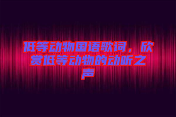低等動物國語歌詞，欣賞低等動物的動聽之聲