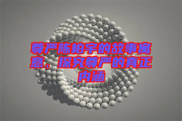 尊嚴(yán)陳柏宇的故事寓意，探究尊嚴(yán)的真正內(nèi)涵