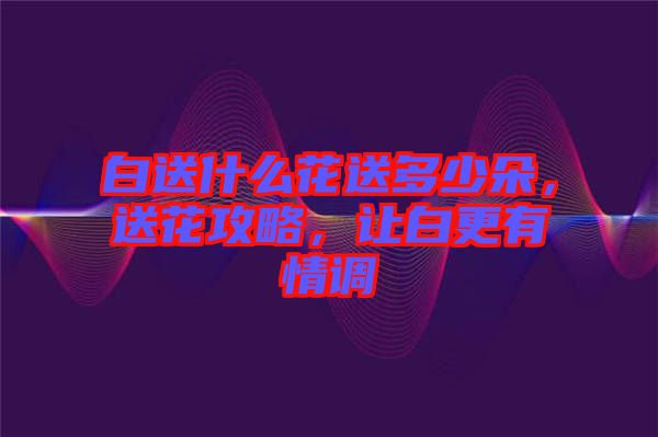白送什么花送多少朵，送花攻略，讓白更有情調(diào)