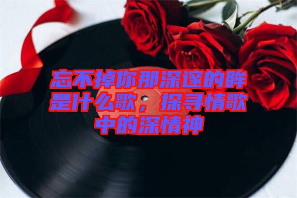 忘不掉你那深邃的眸是什么歌，探尋情歌中的深情神