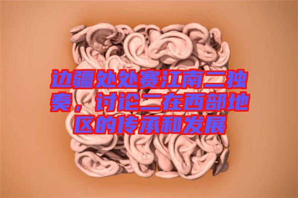 邊疆處處賽江南二獨(dú)奏，討論二在西部地區(qū)的傳承和發(fā)展