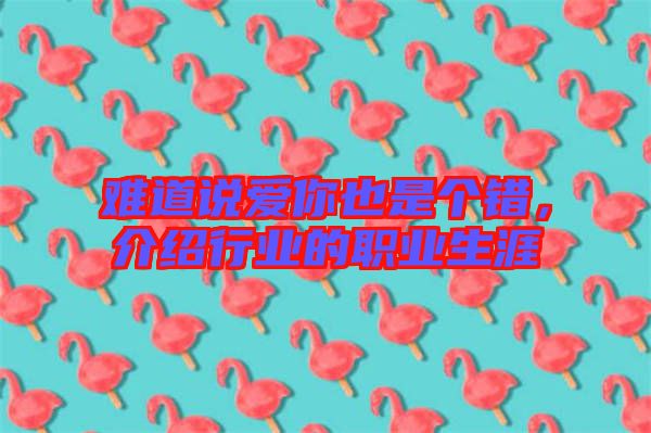 難道說愛你也是個錯，介紹行業(yè)的職業(yè)生涯