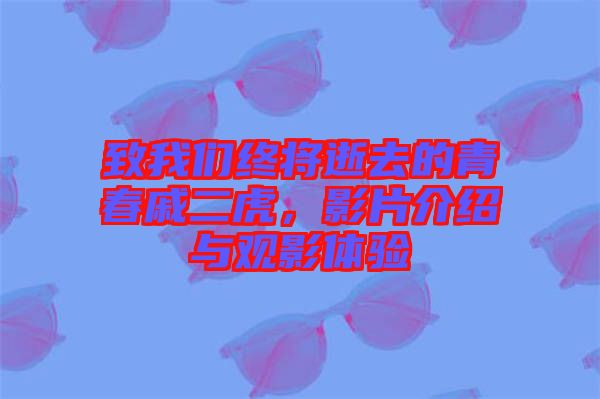 致我們終將逝去的青春戚二虎，影片介紹與觀影體驗