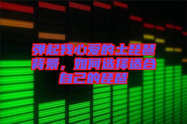 彈起我心愛的土琵琶背景，如何選擇適合自己的琵琶