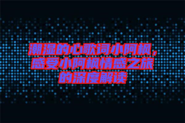 潮濕的心歌詞小阿楓，感受小阿楓情感之旅的深度解讀
