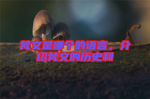 梵文是哪個(gè)的語(yǔ)言，介紹梵文的歷史和