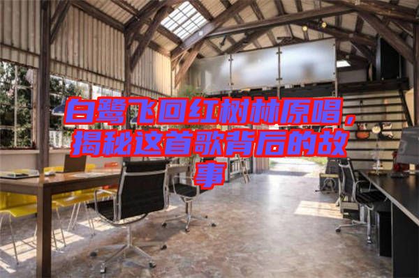 白鷺飛回紅樹林原唱，揭秘這首歌背后的故事