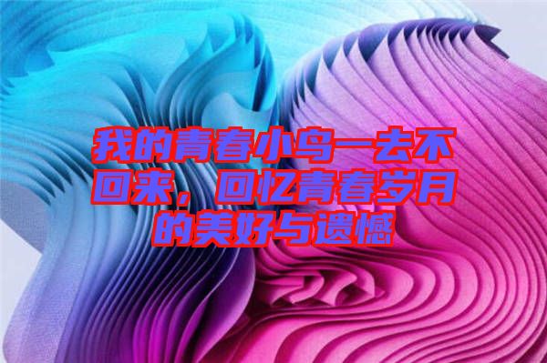 我的青春小鳥一去不回來，回憶青春歲月的美好與遺憾