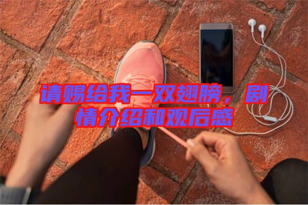 請賜給我一雙翅膀，劇情介紹和觀后感