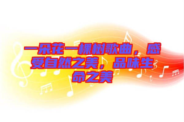一朵花一棵樹(shù)歌曲，感受自然之美，品味生命之美