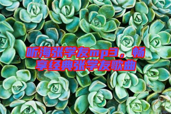 聽海張學(xué)友mp3，暢享經(jīng)典張學(xué)友歌曲