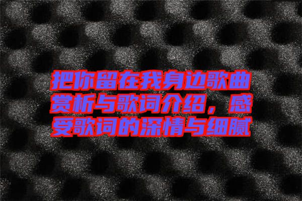 把你留在我身邊歌曲賞析與歌詞介紹，感受歌詞的深情與細(xì)膩