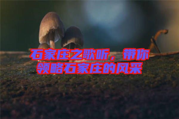 石家莊之歌聽，帶你領(lǐng)略石家莊的風(fēng)采