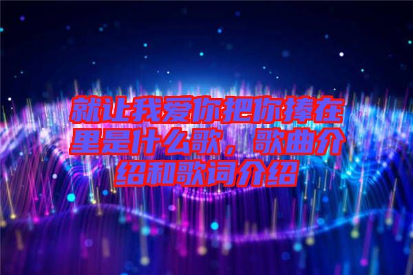 就讓我愛(ài)你把你捧在里是什么歌，歌曲介紹和歌詞介紹