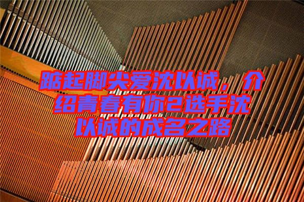 踮起腳尖愛沈以誠，介紹青春有你2選手沈以誠的成名之路