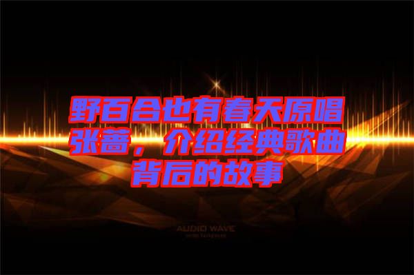 野百合也有春天原唱張薔，介紹經(jīng)典歌曲背后的故事