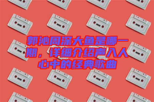 郭沁周深大魚是哪一期，詳細介紹聲入人心中的經(jīng)典歌曲
