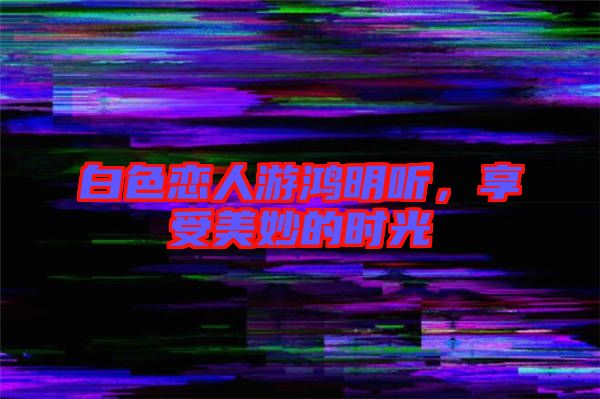 白色戀人游鴻明聽，享受美妙的時光