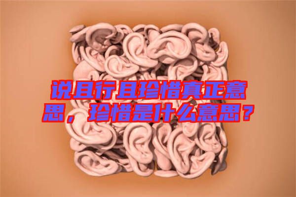 說且行且珍惜真正意思，珍惜是什么意思？